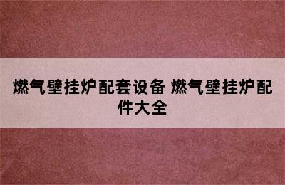 燃气壁挂炉配套设备 燃气壁挂炉配件大全